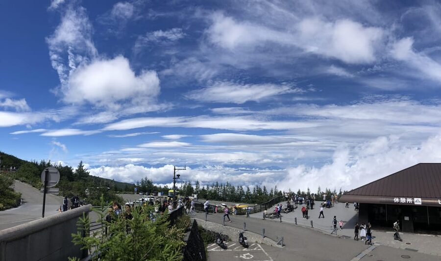 From Tokyo: Mount Fuji, Cruise and Sake Tour - Who this tour is best for (and who should skip it)