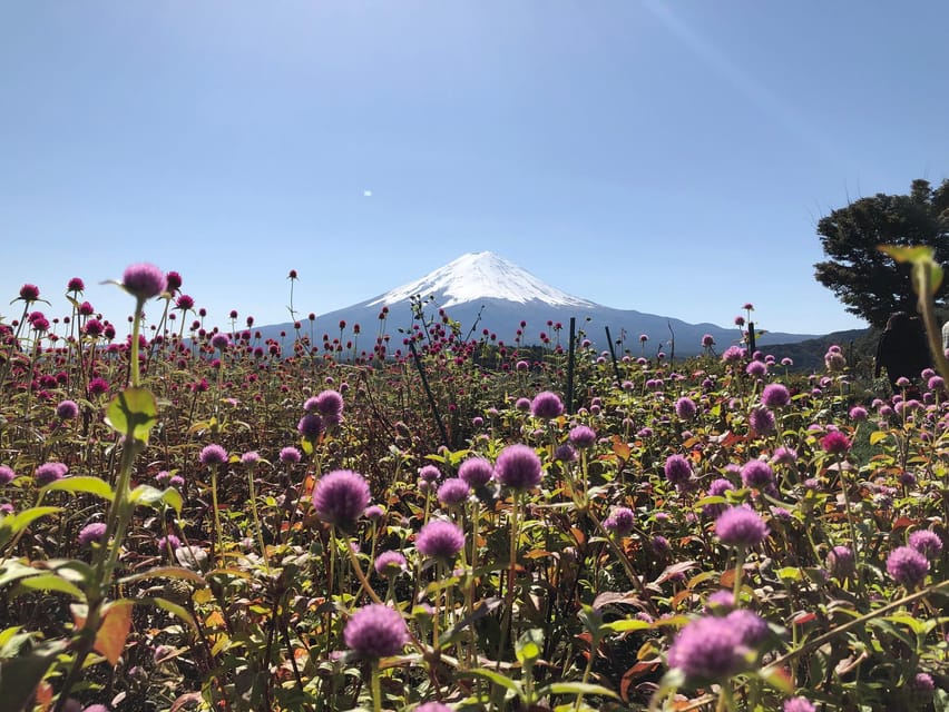 From Tokyo: Mount Fuji, Cruise and Sake Tour - Practical tips so your Fuji day goes smoother