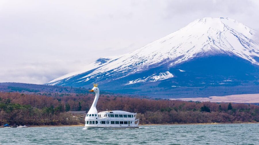 From Tokyo: Mount Fuji, Cruise and Sake Tour - Swans on Lake Yamanaka: the easiest Fuji photos of the day
