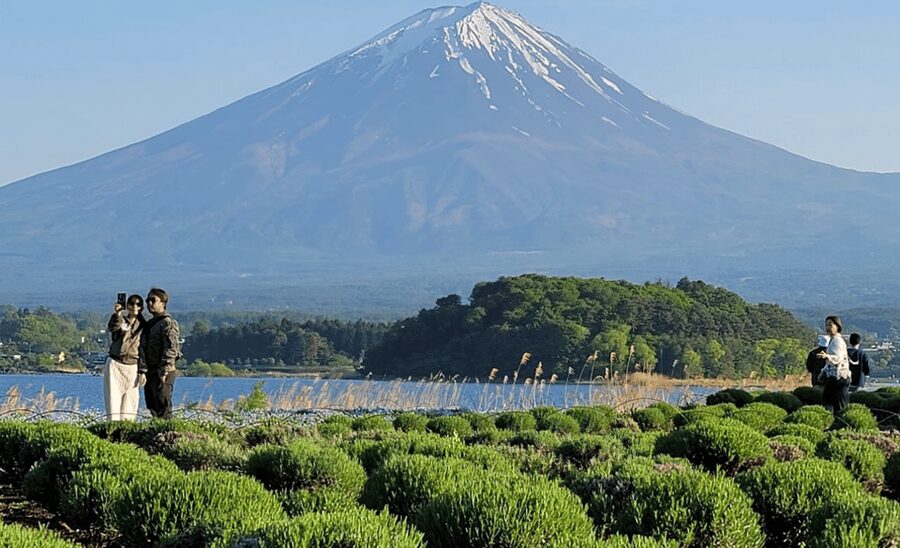 From Tokyo: Mount Fuji Customizable Sightseeing Tour - Price and Value for a Private Group of Up to Six