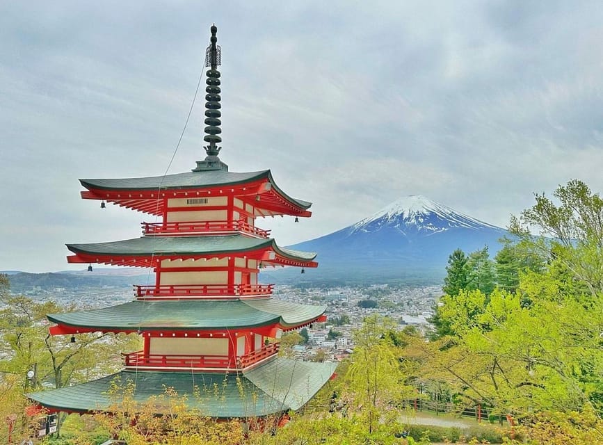 From Tokyo: Mount Fuji Customizable Sightseeing Tour - Lake Kawaguchiko and Osihi Park: Where Fuji Gets Photogenic Fast