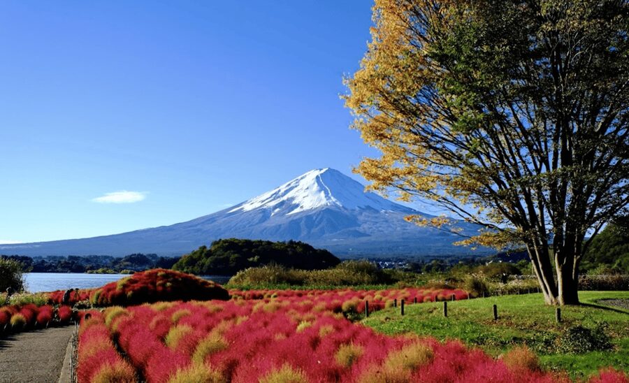 From Tokyo: Mount Fuji Customizable Sightseeing Tour - Oshino Hakkai and Chureito Pagoda: Fuji’s Most Recognizable Photo Circuit