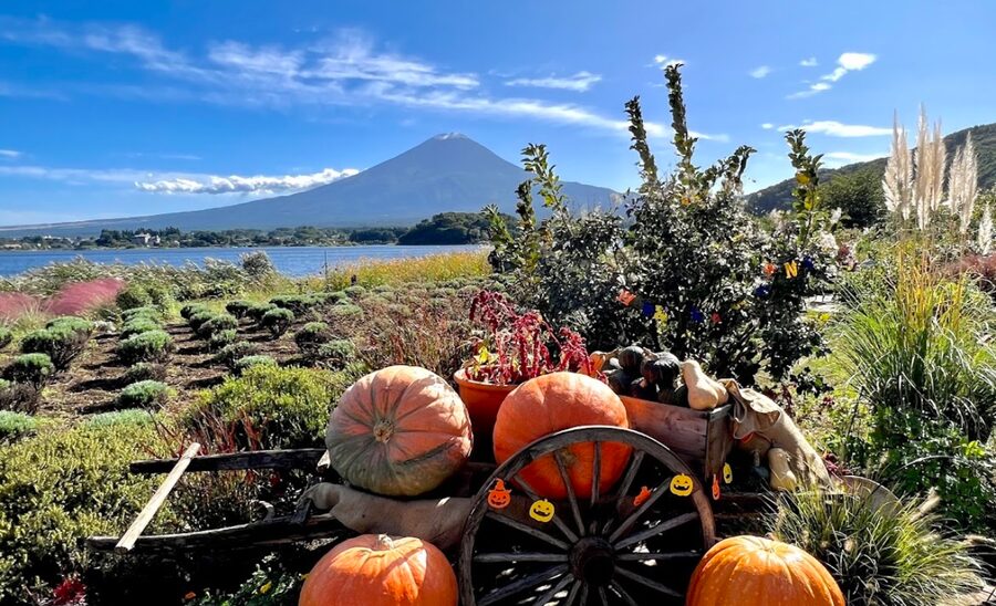 From Tokyo: Mount Fuji Customizable Sightseeing Tour - Hakone Open Air Museum: A Useful Pause Between Viewpoints