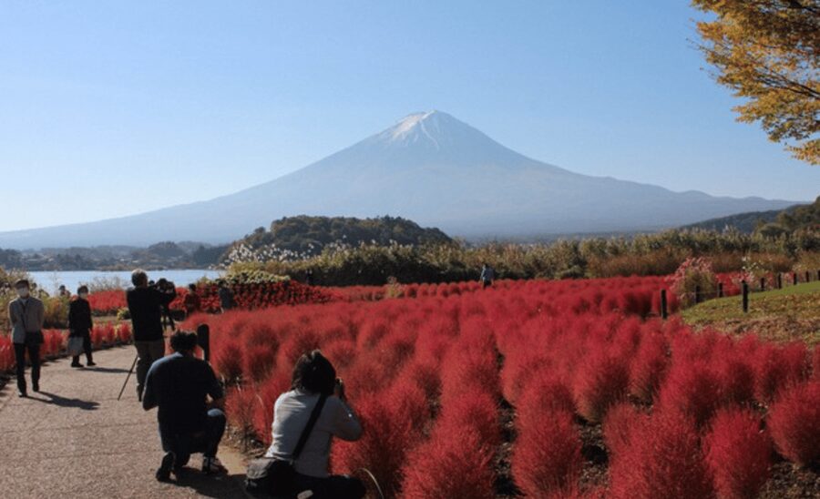 From Tokyo: Mount Fuji Customize Private Tour English Guide - Oshino Hakkai: Clear Water, Short Walks, Fuji Reflections