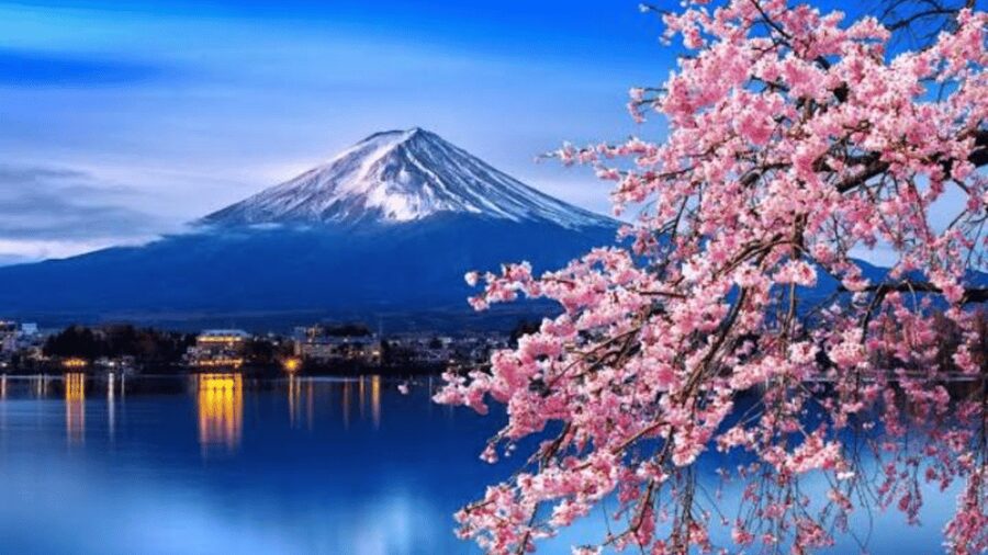 From Tokyo: Mount Fuji Customize Private Tour English Guide - Kitaguchi-hongu Fuji Sengen Shrine and Oishi Park: Spiritual Calm and Easy Views