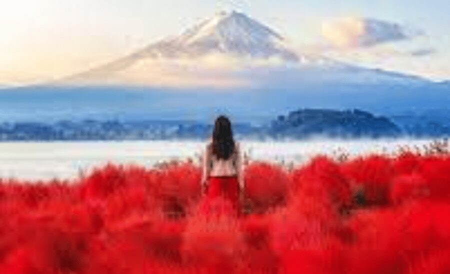From Tokyo: Mount Fuji Customize Private Tour English Guide - Lake Kawaguchi and Saiko Iyashi-no-Sato Nenba: The Fuji-Lake Moment