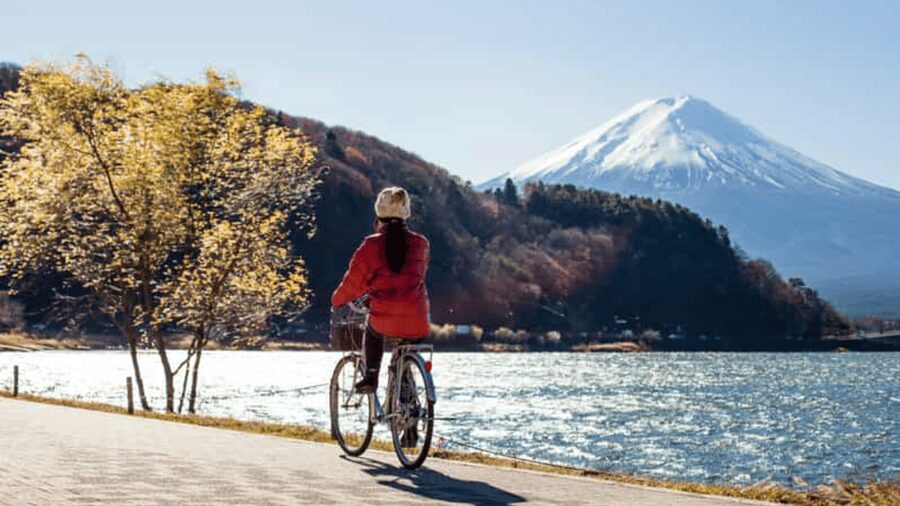 From Tokyo: Mount Fuji Full Customized Tour English Guide - Private Car, Real Flexibility From Tokyo