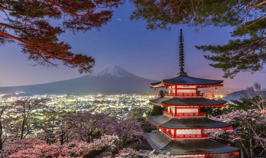 From Tokyo: Mount Fuji Full Day Customizable Private Tour - Timing Reality Check: 10–12 hours and about 4 hours driving