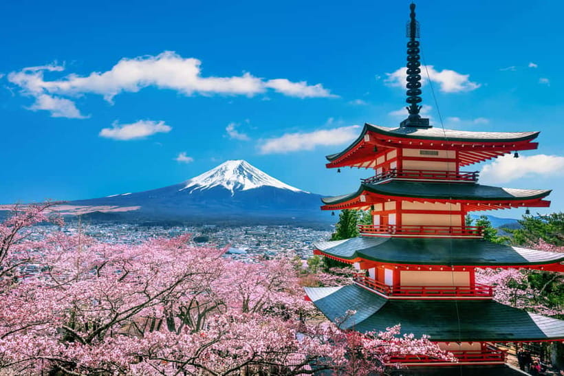 From Tokyo: Mount Fuji Full Day Private Customizable Tour - Key things I’d plan around before you go