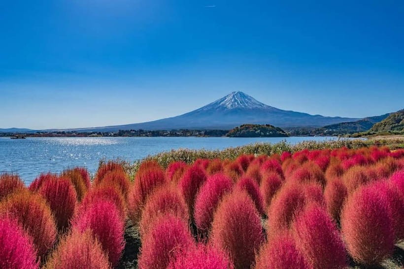 From Tokyo: Mount Fuji Full Day Private Customizable Tour - Why this private Fuji day beats doing it alone from Tokyo