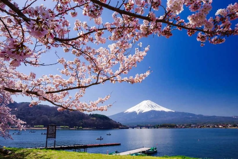 From Tokyo: Mount Fuji Full Day Private Customizable Tour - The morning strategy: how guides help you beat crowds