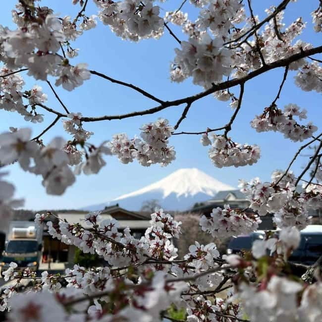 From Tokyo: Mount Fuji Full-Day Private Tour (Customizable) - Oshino Hakkai: spring-fed ponds and a quieter pace