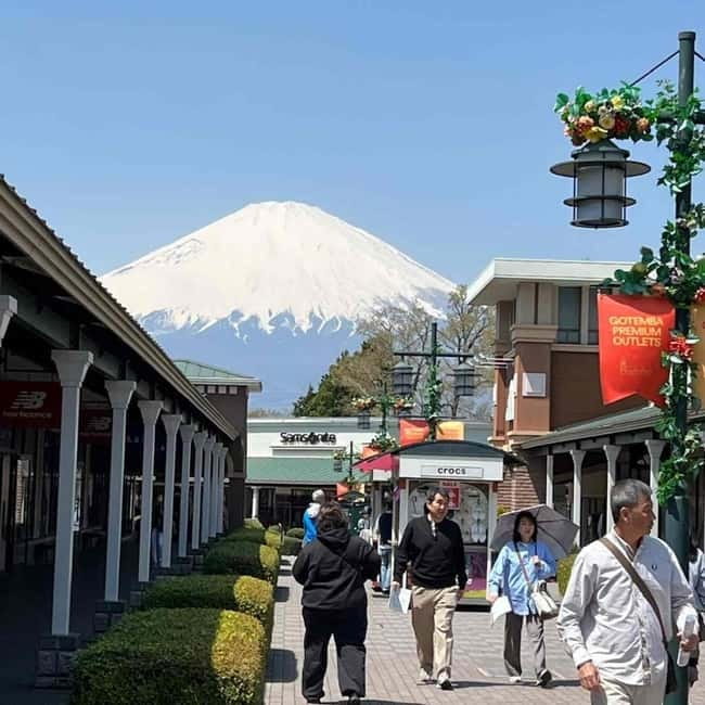 From Tokyo: Mount Fuji Full-Day Private Tour (Customizable) - Customizing the route without losing the core sights