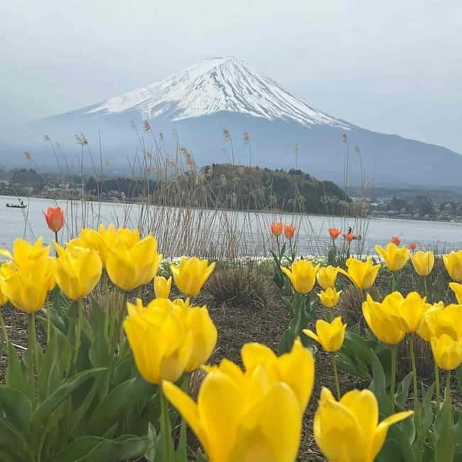 From Tokyo: Mount Fuji Full-Day Private Tour (Customizable) - What to expect day-of: timing, comfort, and weather reality