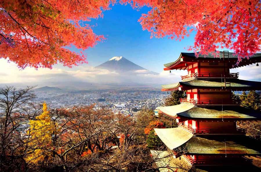 From Tokyo: Mount Fuji Full Day Private Tour English Guide - Private Tokyo Pickup Makes This a Real Day Trip