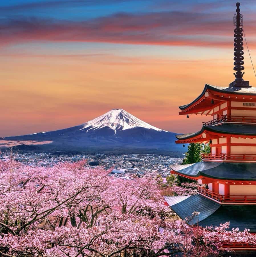 From Tokyo: Mount Fuji Full Day Private Tour English Guide - Oshino Hakkai Ponds: Quiet Walking With Fuji Reflections