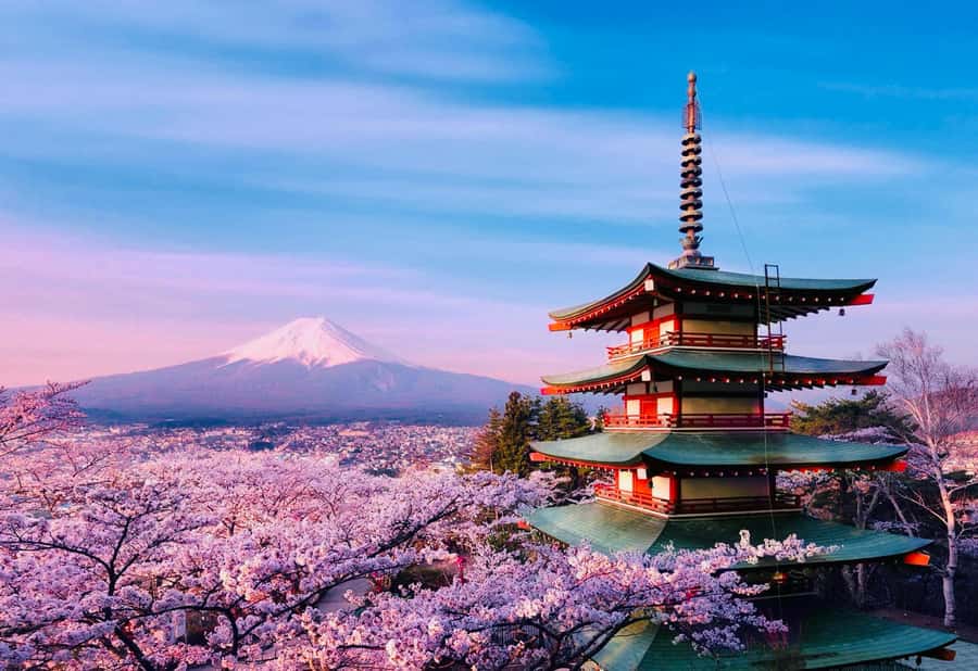 From Tokyo: Mount Fuji Full Day Private Tour English Guide - Lake Kawaguchi, Oishi Park, and Kita-Guchi Shrine: Spreading Out the Views
