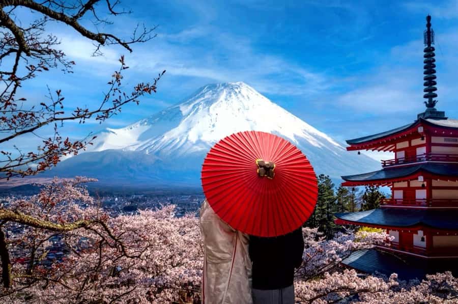 From Tokyo: Mount Fuji Full Day Private Tour English Guide - The Driver’s English and the Power of a Custom Route