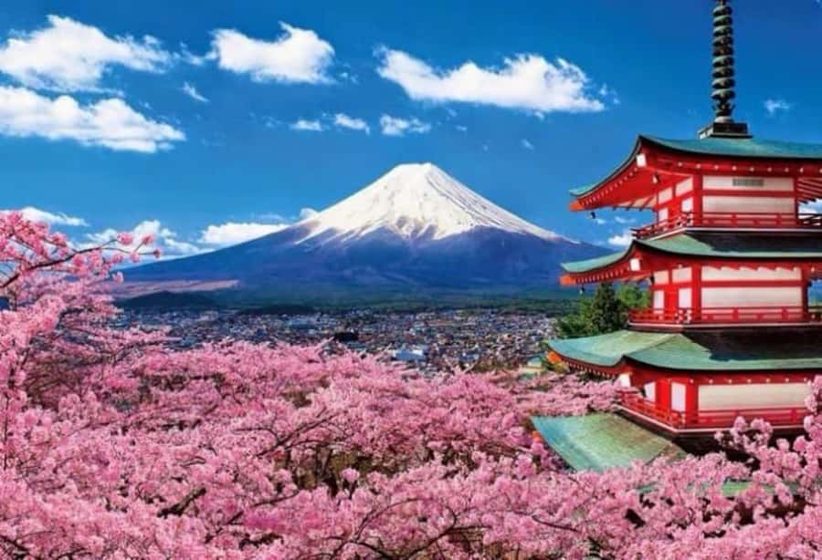 From Tokyo: Mount Fuji Full Day Private Tour English Guide - Price and What You’re Really Getting for $370