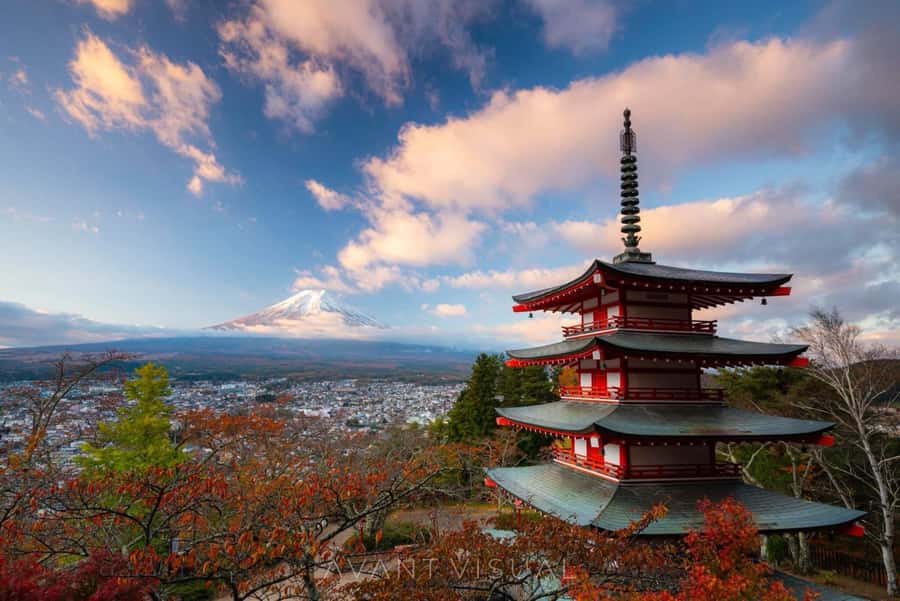 From Tokyo: Mount Fuji Full Day Private Tour English Guide - Chureito Pagoda: The Fuji Photo Stop With Real Timing