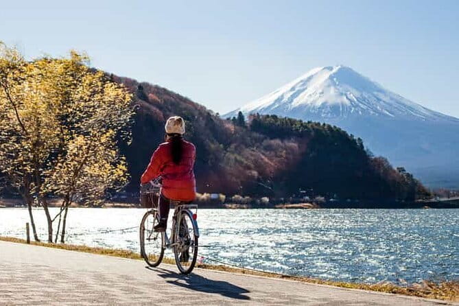 From Tokyo: Mount Fuji Full Day Private Tour With Engish Driver - Key highlights you’ll actually care about