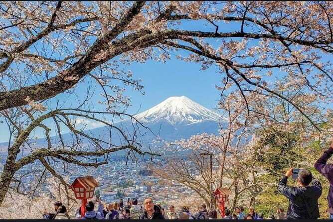 From Tokyo: Mount Fuji Full Day Private Tour With Engish Driver - Kitaguchi Hongu Fuji Sengen Jinja Shrine: Start With a Fuji Connection