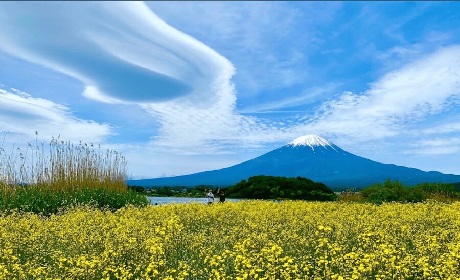 From Tokyo:Mount Fuji&Hakone Customize Full Day Private Tour - Oshino Hakkai, Arakurayama Sengen Park, and Kitaguchi-hongu Shrine: Classic Scenes with Built-In Time
