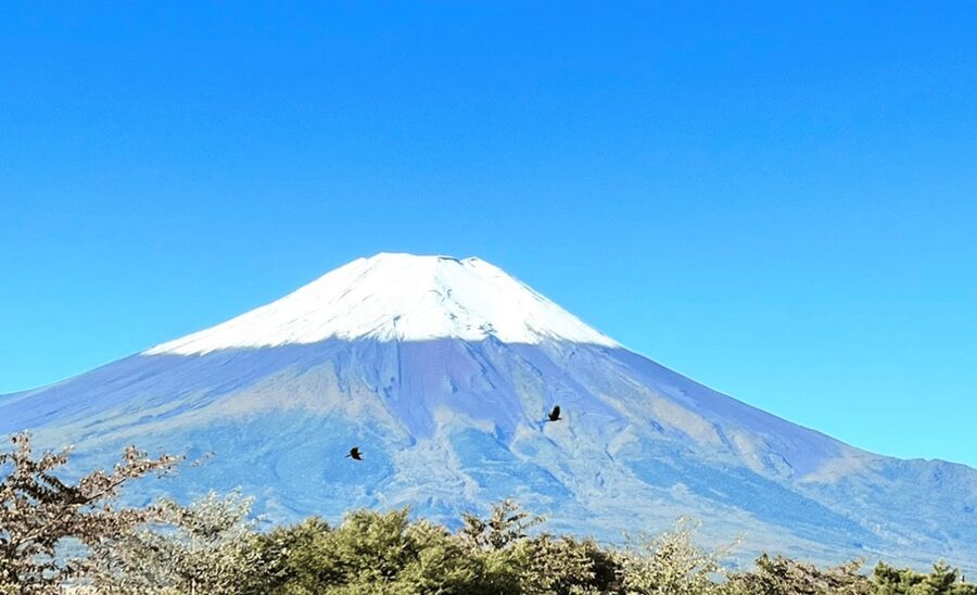 From Tokyo:Mount Fuji&Hakone Customize Full Day Private Tour - Price and Value at $408 per Group: What You’re Actually Buying
