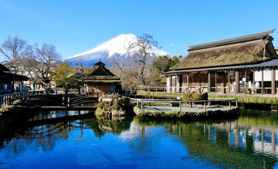 From Tokyo:Mount Fuji&Hakone Customize Full Day Private Tour - Who This Tour Works For (and Who Should Think Twice)