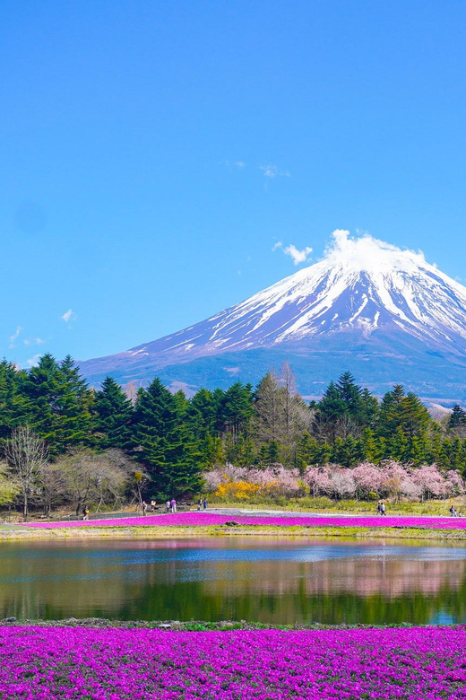 From Tokyo: Mount Fuji & Hakone Customize Private Day Tour - Key things I’d bet you’ll care about