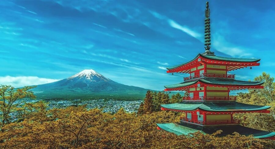 From Tokyo: Mount Fuji & Hakone Customize Private Day Tour - Why this Mount Fuji + Hakone day feels different than a bus tour