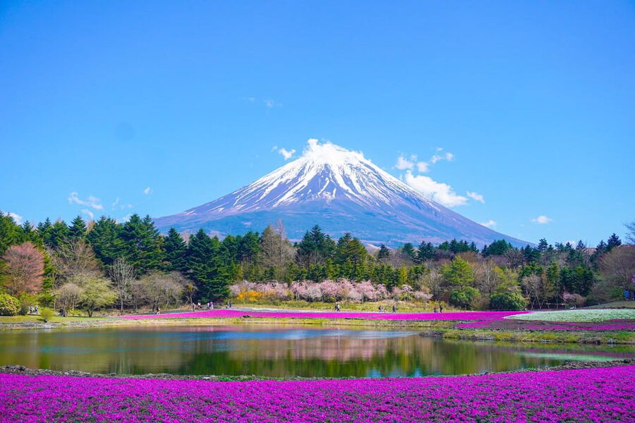 From Tokyo: Mount Fuji & Hakone Customize Private Day Tour - Kitaguchi-hongu Fuji Sengen Shrine: calm, shaded, and culturally grounded