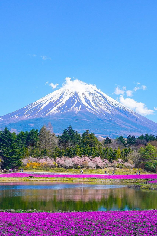 From Tokyo: Mount Fuji & Hakone Customize Private Day Tour - Mt. Kachi Kachi Ropeway: a viewpoint payoff, with a ticket note