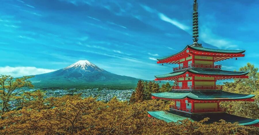 From Tokyo: Mount Fuji & Hakone Customize Private Day Tour - Getting from Tokyo without the squeeze: car choice and timing reality