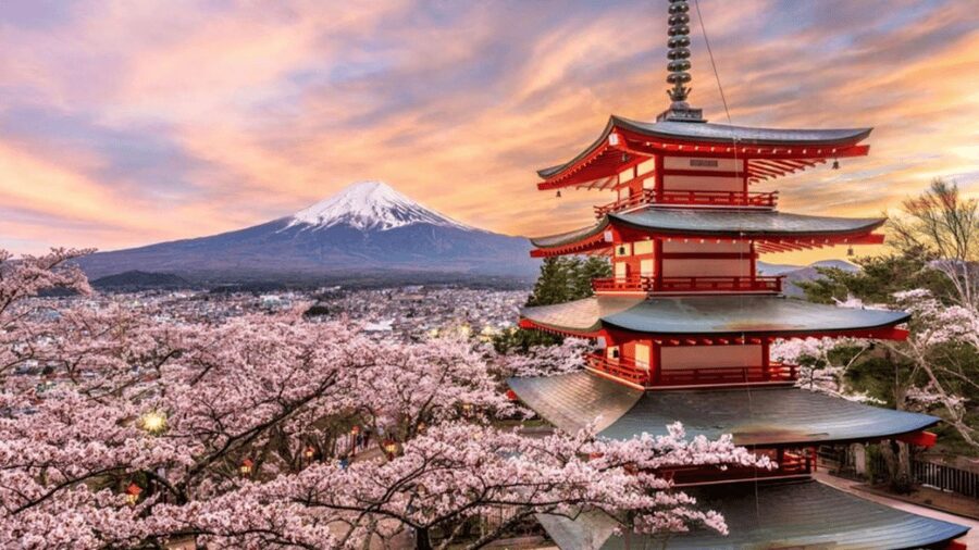 From Tokyo:Mount Fuji & Hakone Customized Private Tour - Mt. Fuji 5th Station: why it’s worth budgeting for the fee