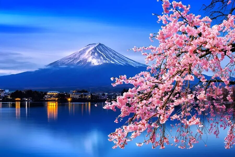 From Tokyo: Mount Fuji & Hakone Full Day Private Tour - Key highlights worth planning around