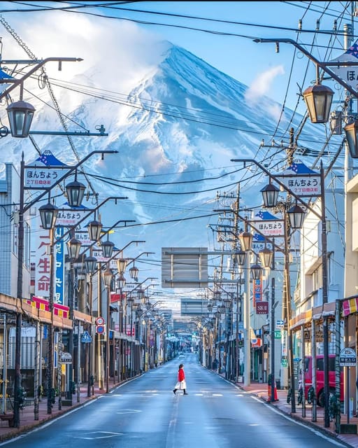 From Tokyo: Mount Fuji & Hakone Full Day Private Tour - Price and value for up to 6 people