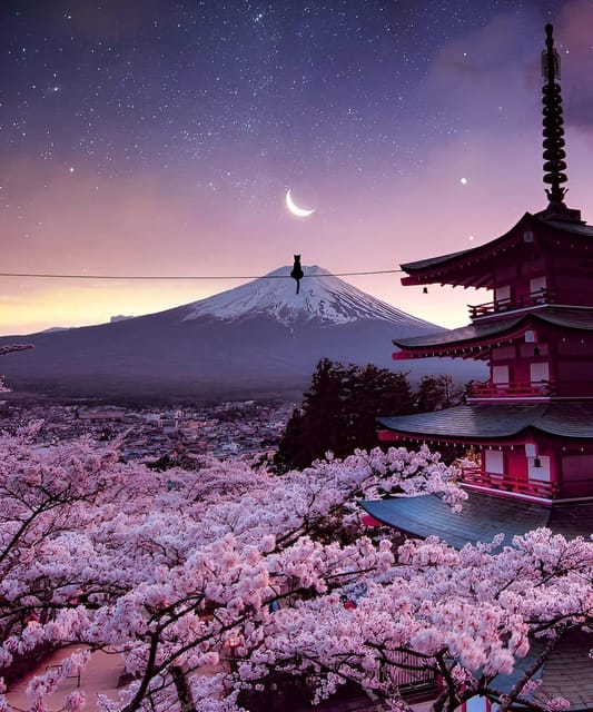 From Tokyo: Mount Fuji & Hakone Full Day Private Tour - Who should book this private Mount Fuji and Hakone day tour