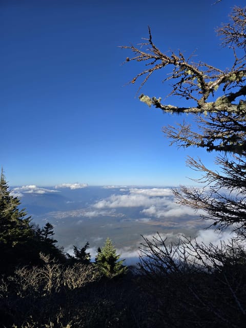 From Tokyo: Mount Fuji & Hakone Full Day Private Tour - Should you book this tour