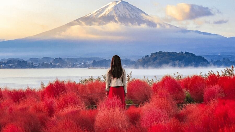 From Tokyo:Mount Fuji Private Customizable Tour With English - Key things I’d circle before you book