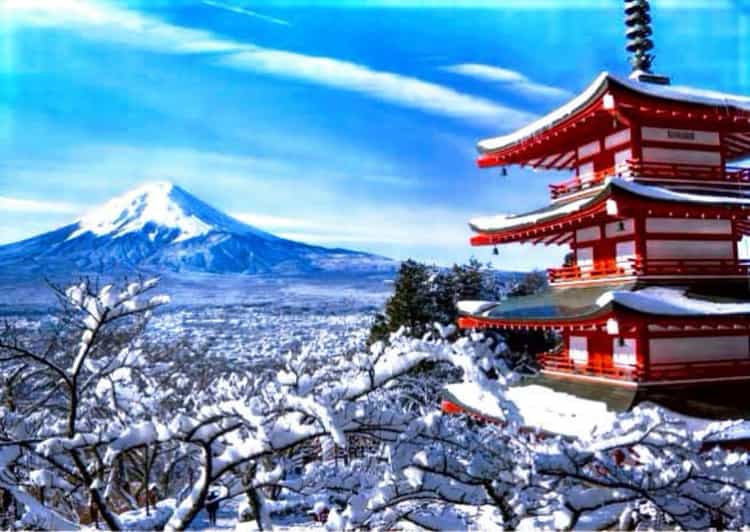 From Tokyo:Mount Fuji Private Customizable Tour With English - Why this private Mt. Fuji day trip feels different