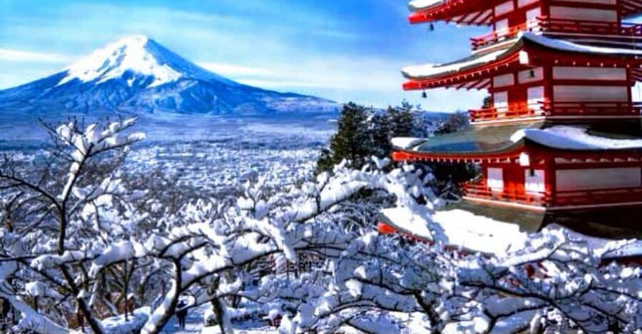 From Tokyo:Mount Fuji Private Customizable Tour With English - Fuji Five Lakes highlights: Kawaguchiko, Oshino Hakkai, and Chureito Pagoda