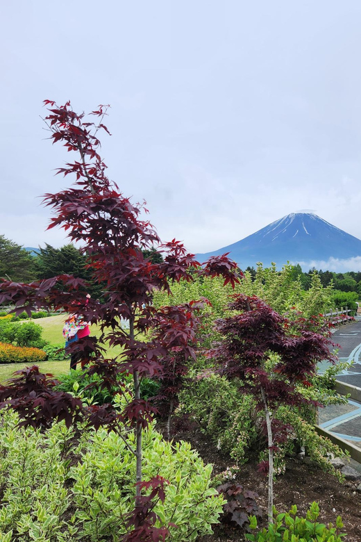 From Tokyo:Mount Fuji Private Customizable Tour With English - Hakone options: Ropeway, Owakudani, and Lake Ashi