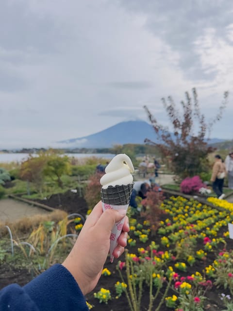 From Tokyo : Mount Fuji Private Day Tour with English Driver - Stop by Stop: The Fuji Day Route That Maximizes Views