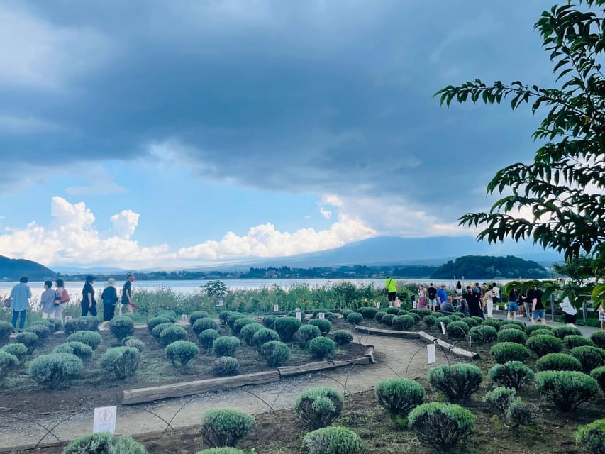 From Tokyo : Mount Fuji Private Day Tour with English Driver - The one-hour rhythm: Chureito Pagoda to Oshino Hakkai