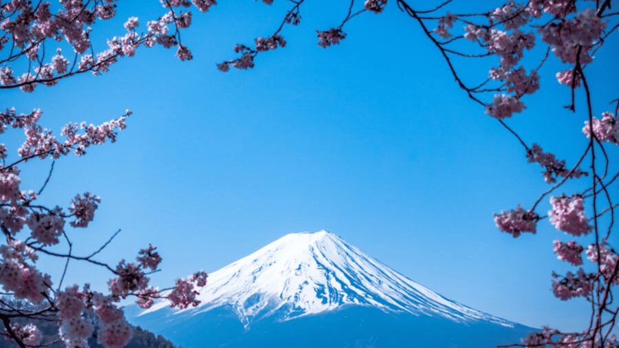 From Tokyo: Mount Fuji Private Day Tour With English Guide - First Stop: Mt. Fuji 5th Station for Big Views