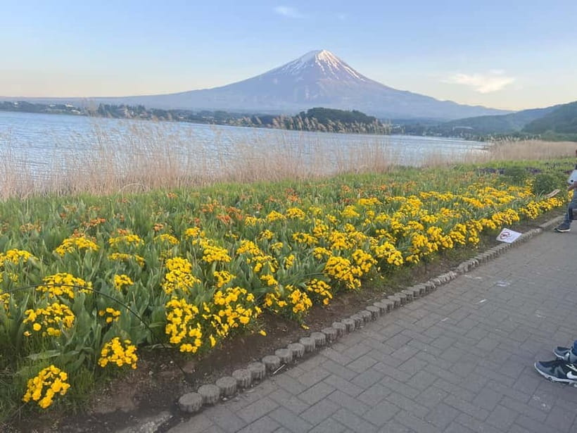 From Tokyo: Mount Fuji Private Tour with a Driver/Guide - Key things that make this Mount Fuji day feel worth it