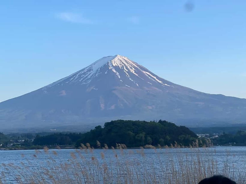 From Tokyo: Mount Fuji Private Tour with a Driver/Guide - Why a private Mount Fuji day trip beats DIY on a tight schedule
