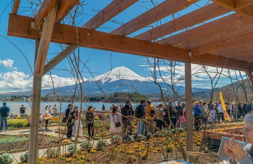 From Tokyo: Mount Fuji Private Tour with a Driver/Guide - The final Fuji stop: turning a view into a memory