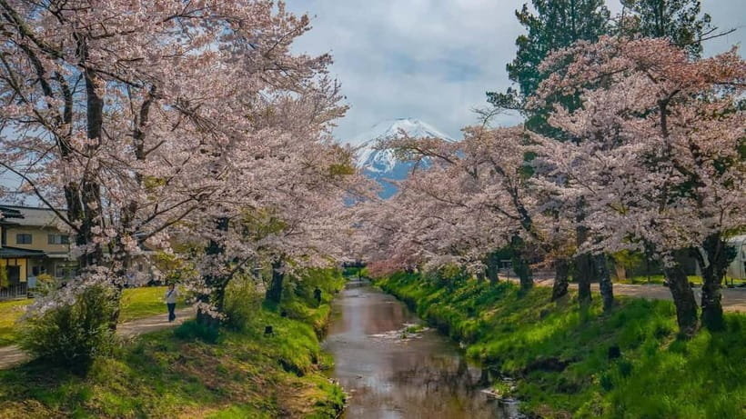 From Tokyo: Mount Fuji Private Tour with a Driver/Guide - Price and logistics: the real cost is base price plus a few fees